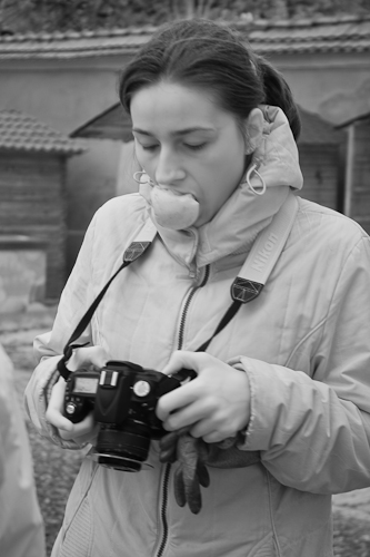 Monica musca marul (3M)