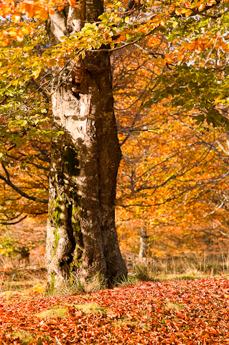 Canon Off Road Trip Canon Off Road Trip