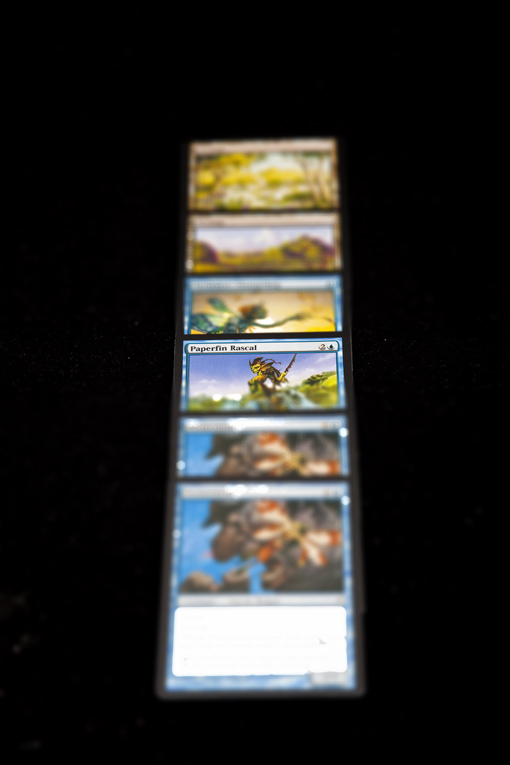 IMG_0235-PaperFinRascal