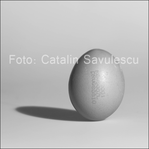 IMG_6702-blog-teleobiectiv