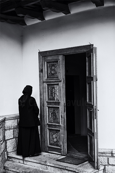 _MG_5053-de-prin-sertare