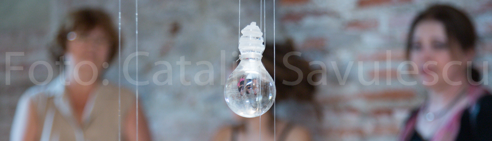 Ioana Stelea, Mesaje pe sticla