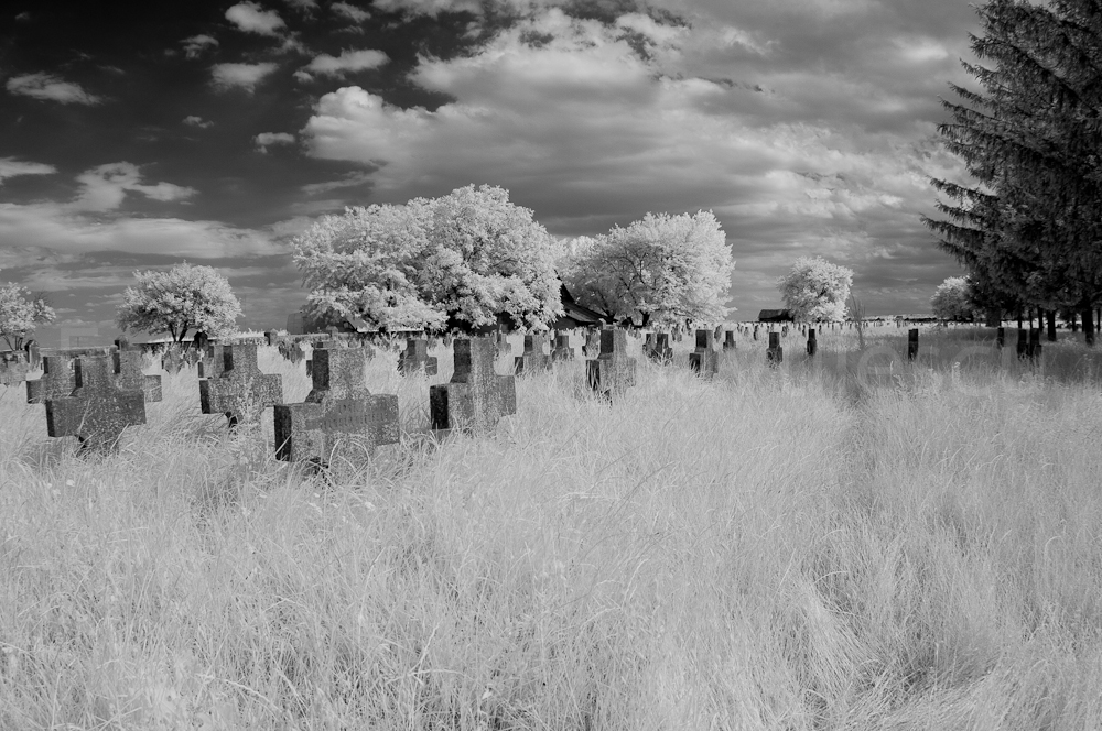 cimitirul-eroilor-germani-tifesti-jud-vrancea-IMG_1178