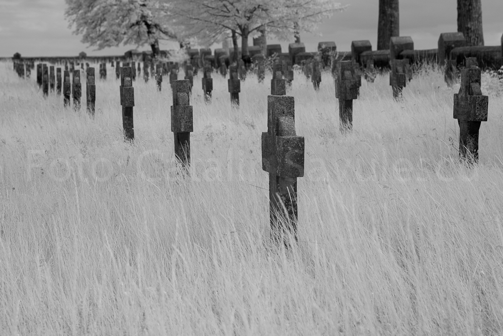 cimitirul-eroilor-germani-tifesti-jud-vrancea-IMG_1190