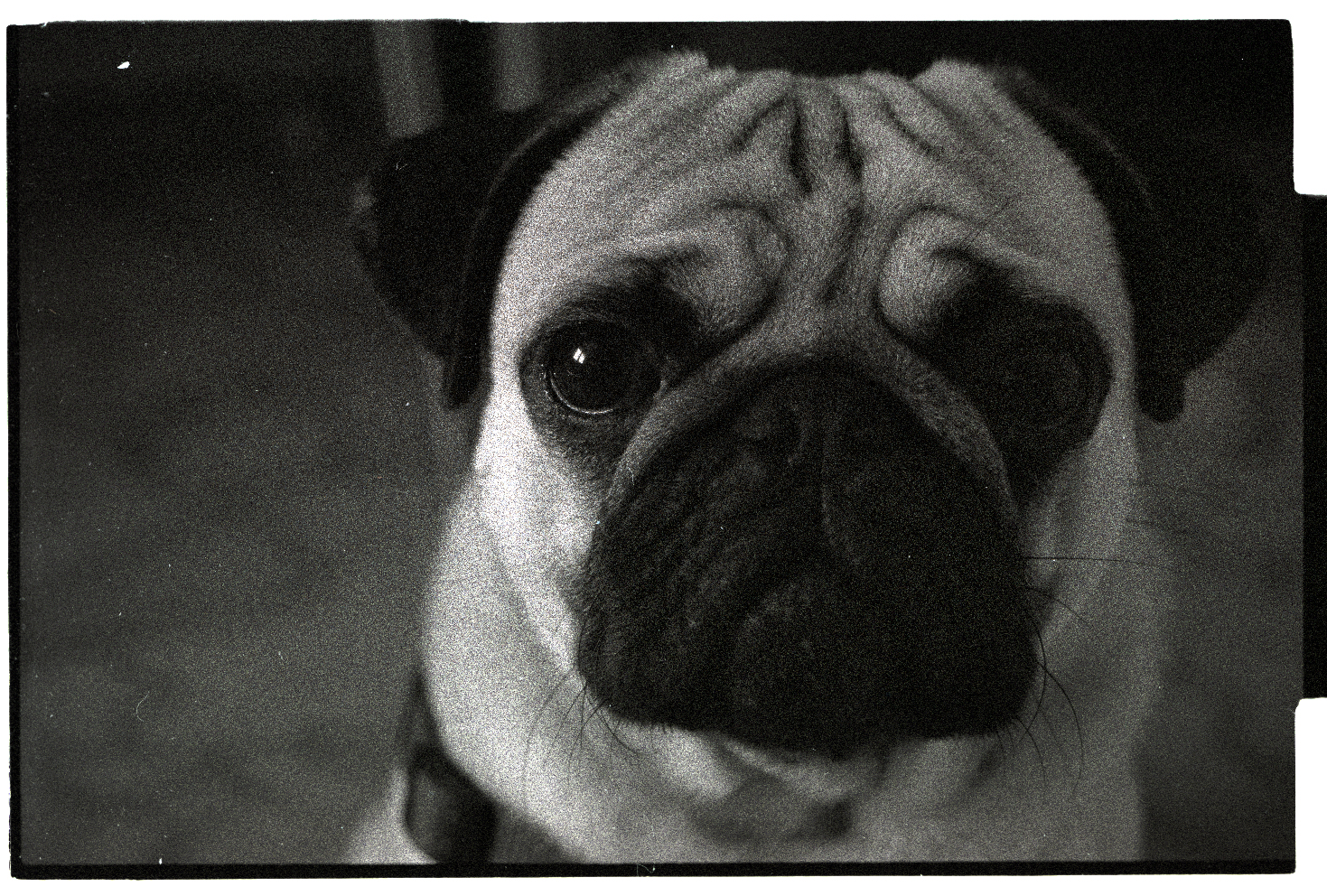 iulie-2013-delta-3200-093