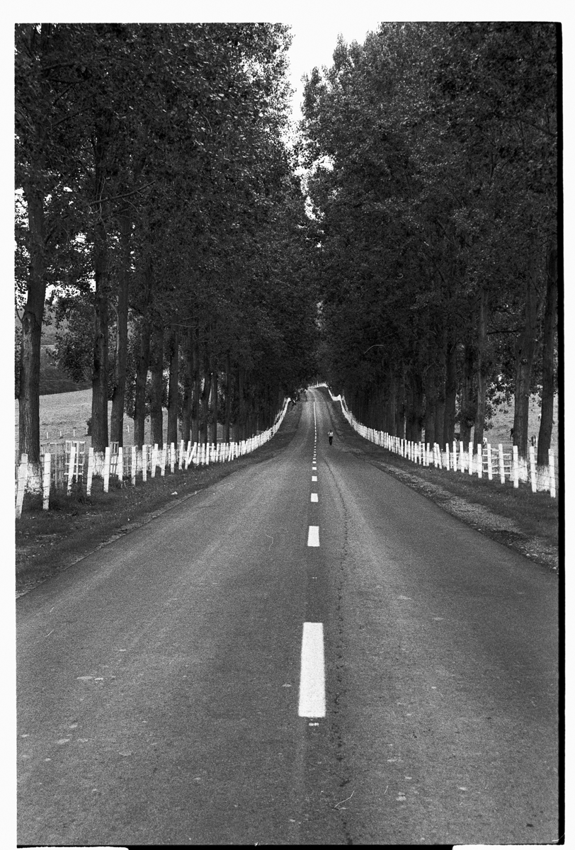 iulie-2013-hp5-400-071