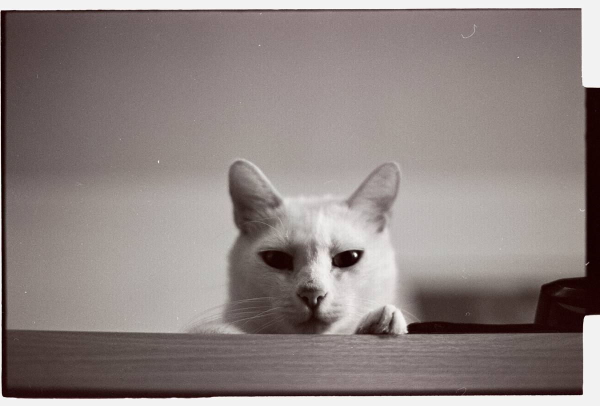 iulie-2013-xp2-400-007